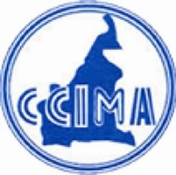 logo-ccima